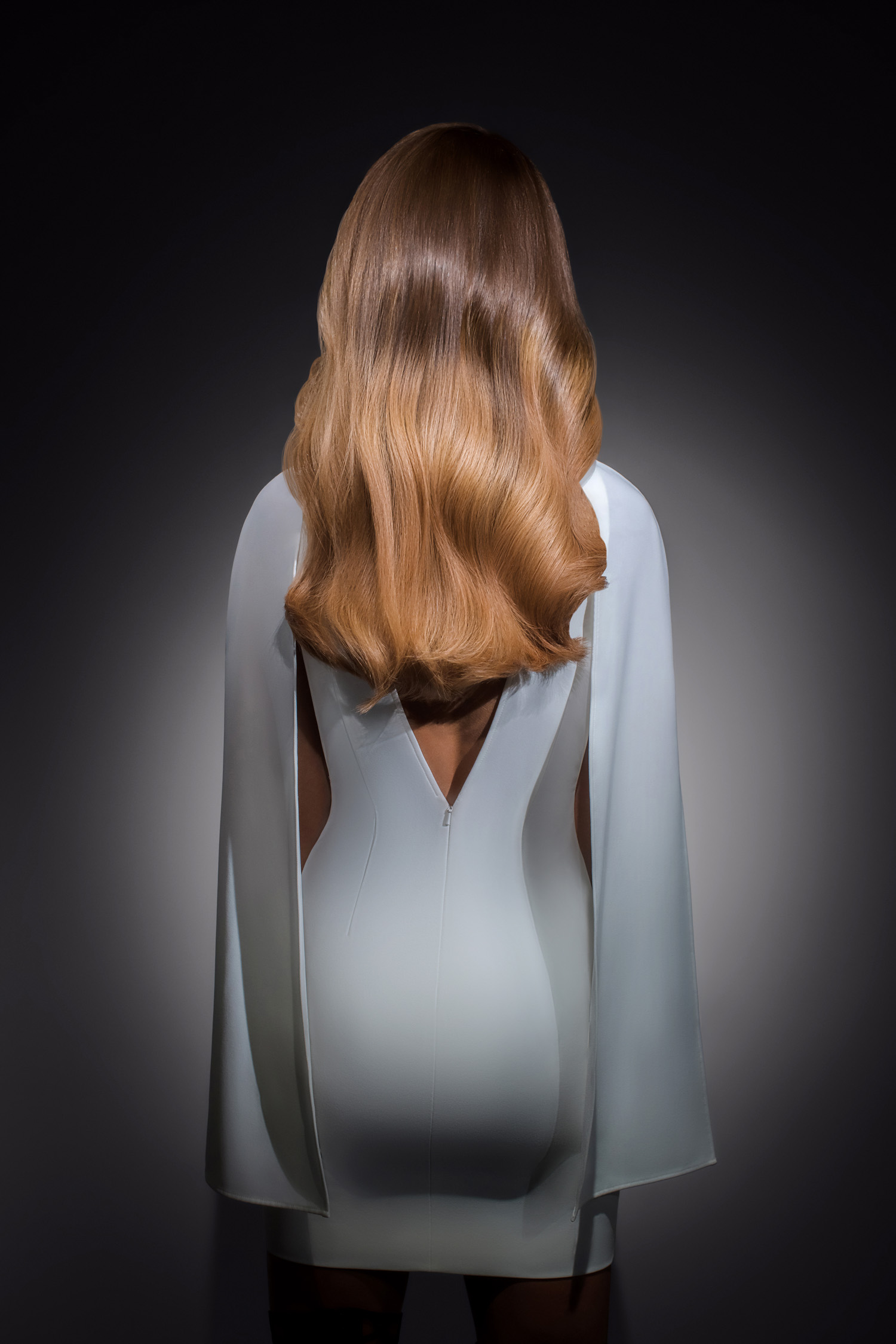 Gingko Luxury Full Lace Brown Ombre Wig- 360 Frontal Lace 3 Gingko Luxury Full Lace Brown Ombre Wig- 360 Frontal Lace 3